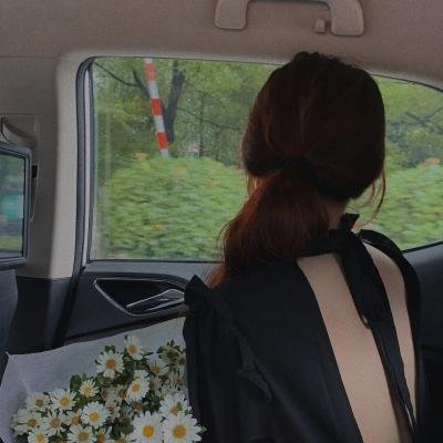 高速公路家族